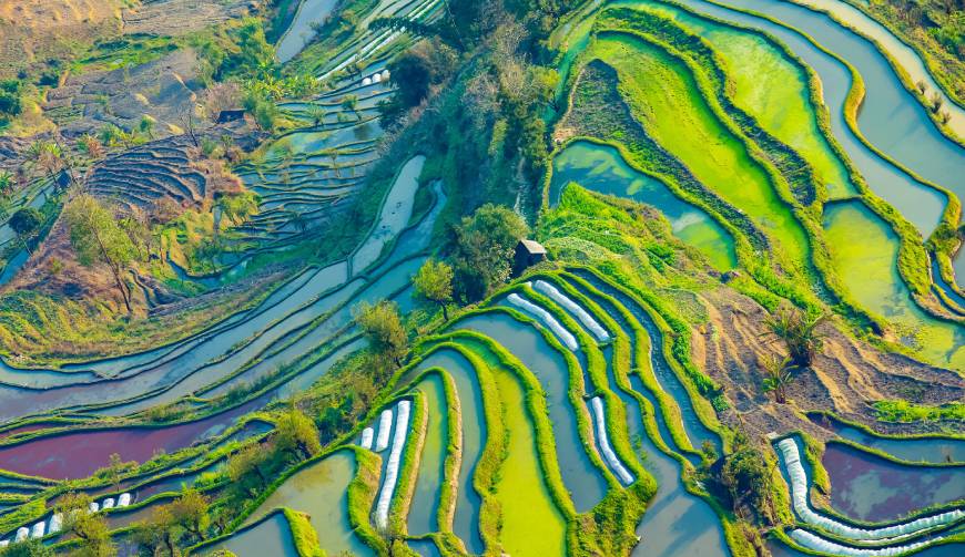 宝妈必备神器：莫力达瓦达斡尔族自治旗产品视频拍摄轻松育儿好帮手